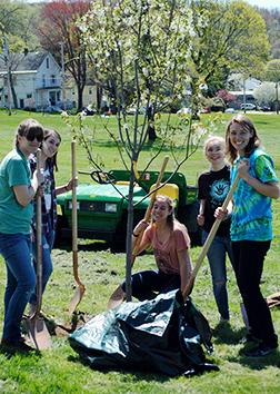 在纽约州立大学JCC校园里，学生们拿着铲子围着他们正在种植的树.